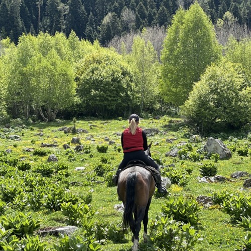 Верхом по Архызу: поездка для конников с любой подготовкой