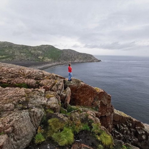 Сдержанная эстетика Заполярья: перезагрузка в экоотеле и знакомство с Кольским