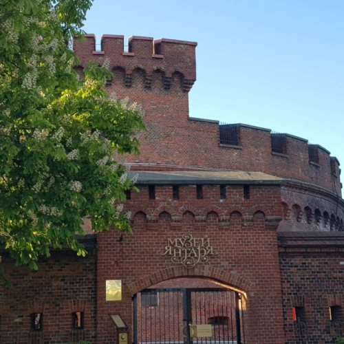 Из Зеленоградска — в Калининград (+ трансфер туда и обратно)