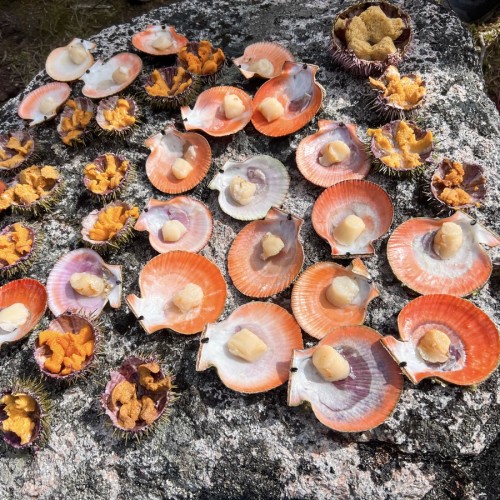 За атмосферой Арктики: тур из Мурманска в Териберку с дегустацией и прогулками по главным местам