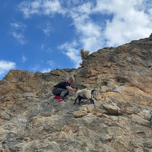 Алтайские чудеса: водопады, горы, озёра и марсианские пейзажи в мини-группе