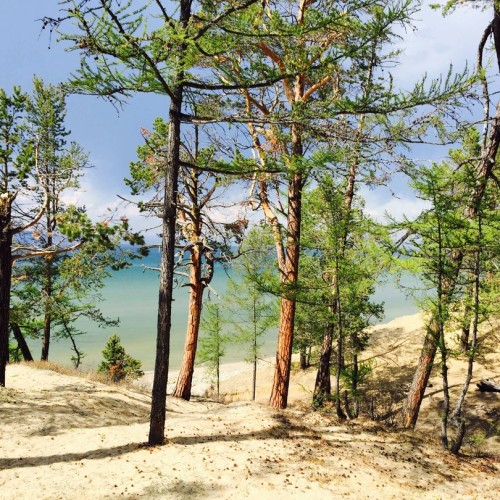 Летнее путешествие на Байкал: Иркутск, Листвянка, Малое Море и Ольхон