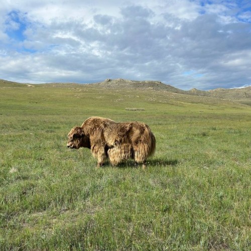 Знакомство с Байкалом: Ольхон, Бурятия и круиз с ночёвкой на корабле