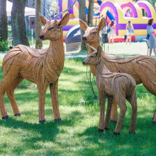 На автобусе по знаковым локациям янтарного края: Калининград, Светлогорск, Янтарный, Зеленоградск