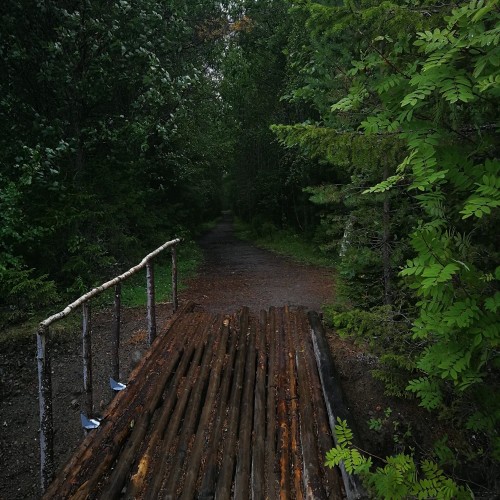 Ваше персональное путешествие вглубь веков: петроглифы, Кижи и Соловецкий монастырь