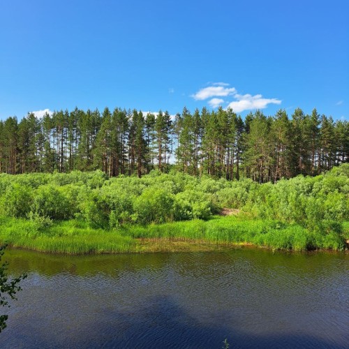 Подальше в лес: сплав на байдарках по реке Медведице