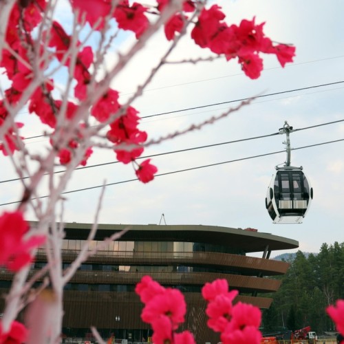 Топовые места Алтая в мини-группе: Гейзерное озеро, Чуйский тракт, долина Горных духов и Патмос
