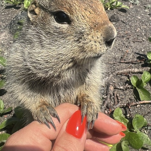 На джипе по Камчатке: восхождения, рыбалка, сплав и обеды на свежем воздухе (мини-группа)