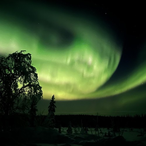 Индивидуальный джип-выезд по Кольскому с поисками китов, знакомством с саамами и катанием на оленях