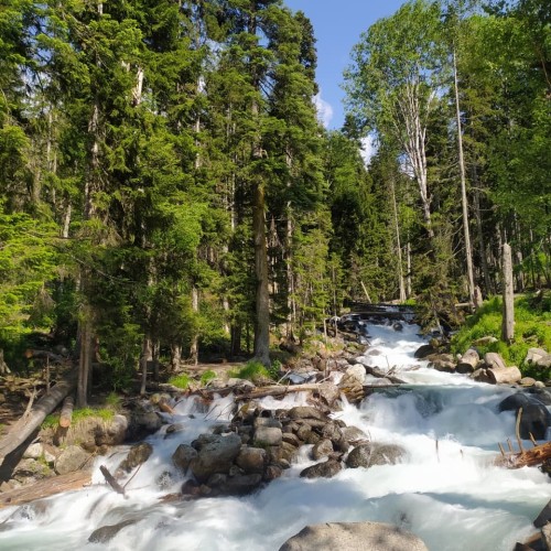 Природные и исторические сокровища Домбая и Архыза: джип-выезд в сердце Кавказа