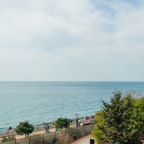 Лёгкий треккинг в субтропиках с проживанием в гостинице в Адлере