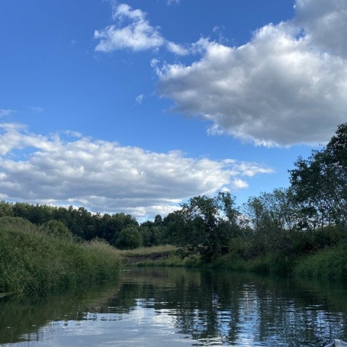 Выходные-перезагрузка на реке Шерне: сплав на байдарках (всё включено)