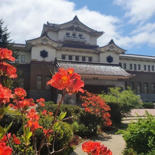 Фантастические пейзажи Сахалина и первозданная природа мыса Крильон