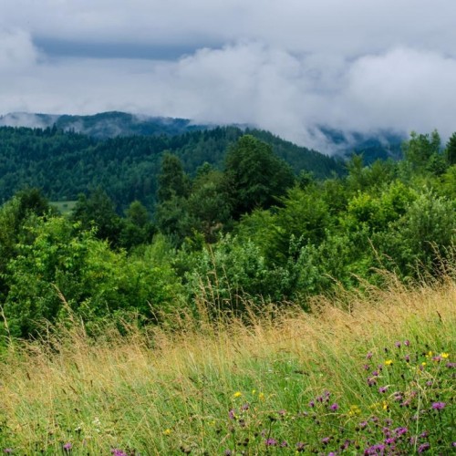 Мини-перезагрузка в Байкальске: отдых у самого глубокого озера мира