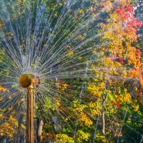 Однодневная групповая экскурсия по Петербургу и Петергофу на автобусе