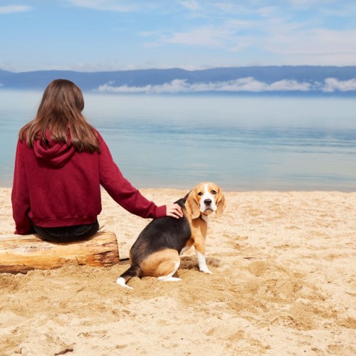 На выходные на Ольхон из Иркутска: знакомство с островом и досуг на выбор