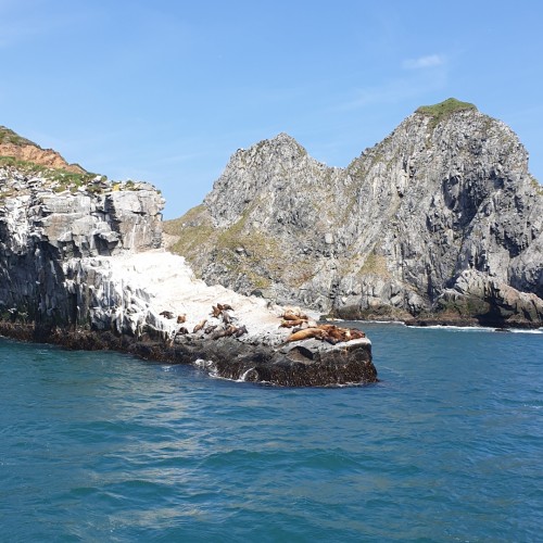 Джип-тур по Камчатке в мини-группе в июне: океан, морская прогулка, дегустации и экскурсии на выбор