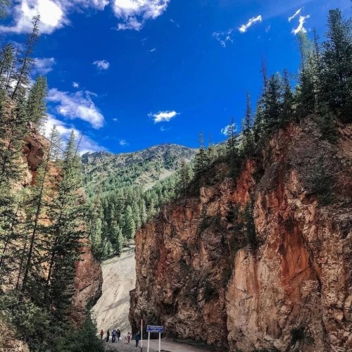 Когда Алтай оживает: цветение маральника, озёра и перевалы Чуйского тракта (мини-группа)