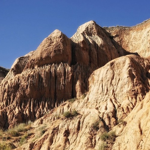 Волгоградское море: по Нижней Волге под парусами
