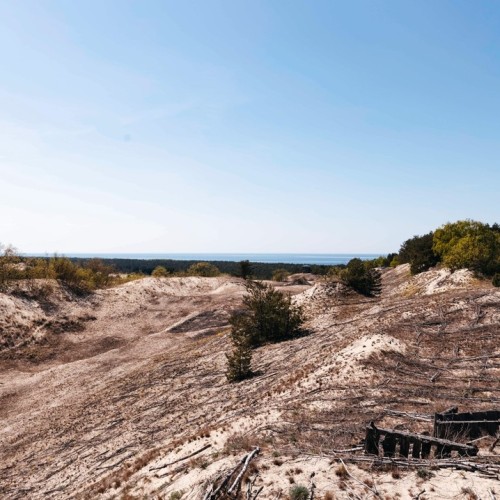 Море, котики, курорты: главное в Калининградской области