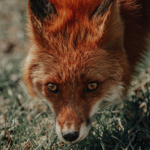 На Камчатку с вулканологом: VIP-экспедиция с прогулкой на вертолёте, рыбалкой, баней и деликатесами