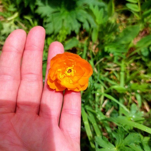 К ледникам: треккинг налегке в ущелье Актру с проживанием на турбазе