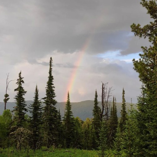 Перезагрузка на Алтае: топ локаций, заповедное озеро и моторафтинг по Катуни