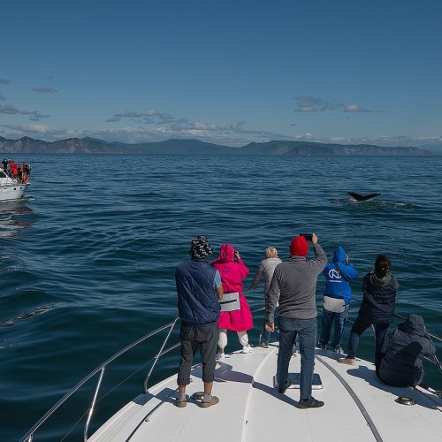 Активный отпуск на Камчатке: восхождение на вулкан, морская прогулка, сплав, баня