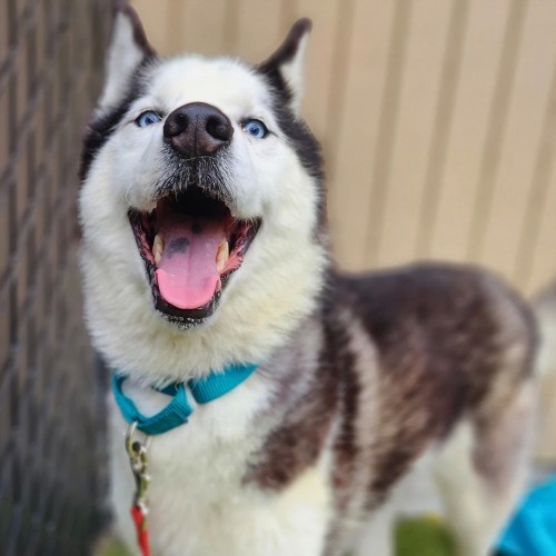 Экспресс-тур из Петербурга в Карелию с дегустациями и кулинарными мастер-классами