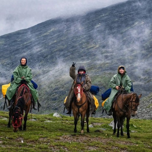 Верхом по Алтаю: конный тур для новичков с палатками (всё включено)