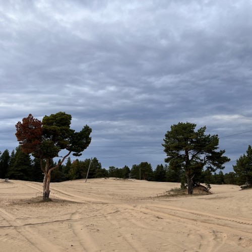 Шёпот волн, арктические дали, поморские селения: перезагрузка на Терском берегу