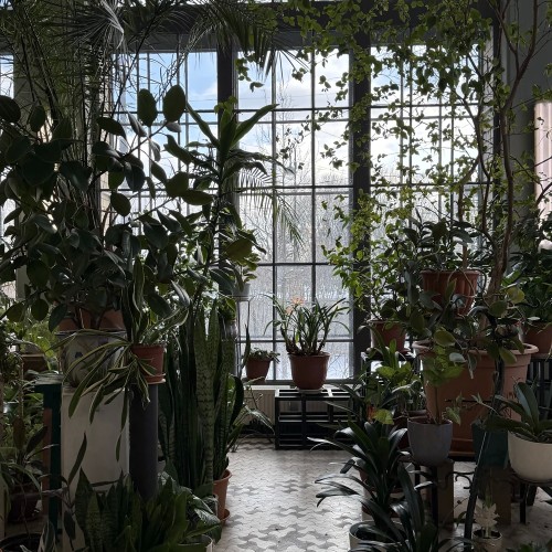 Фуэтэ судьбы Матильды Кшесинской