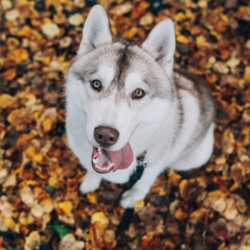 Водопады, рускеальский каньон и этнопарк с комфортом для всей семьи