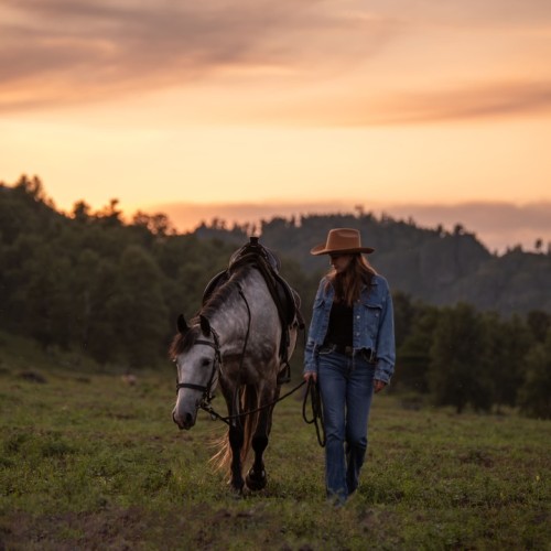 Бороздим просторы Алтая верхом: активный тур для опытных всадников с фотосъёмкой
