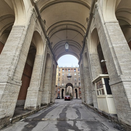 Увидеть не-Невский