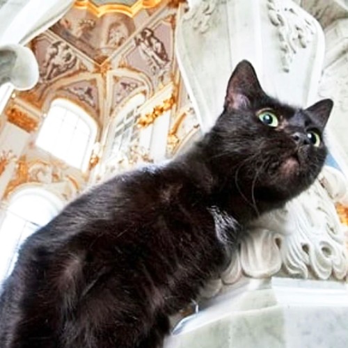 Эрмитаж — дом семьи Романовых (билеты включены)