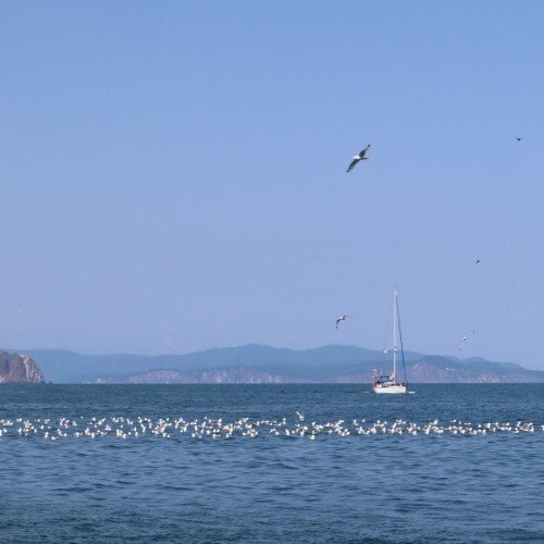 Природные красоты Камчатки: легко и без восхождений