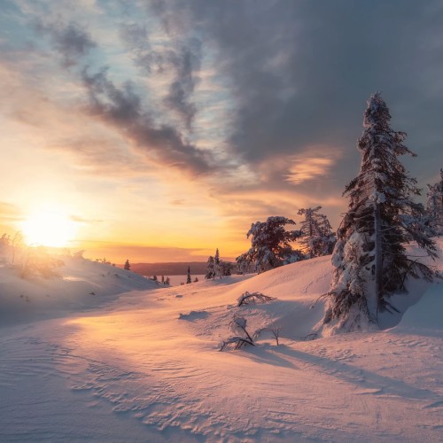 Карелии снежный узор: топовые места, зимние активности и прогулки на природе