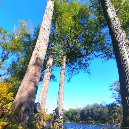 Камчатский максимум: конные прогулки, джипы, вулканы и рыбалка в Тихом океане