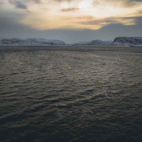 Арктические приключения: морская прогулка в поисках китов, Териберка и этническая деревня