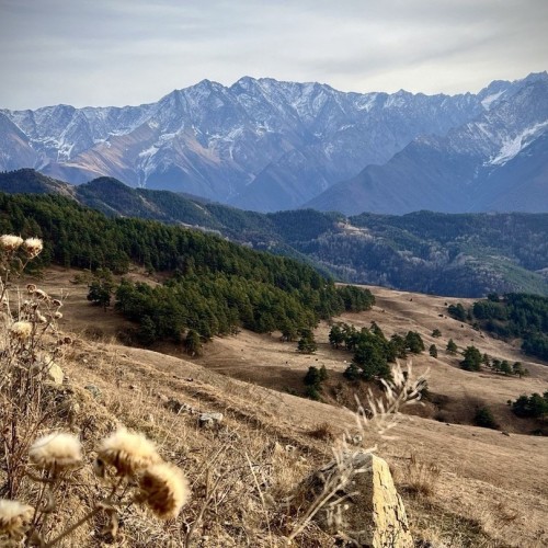 Кавказское ассорти со вкусом вина: путешествие по Грузии и 6 живописным ущельям Осетии