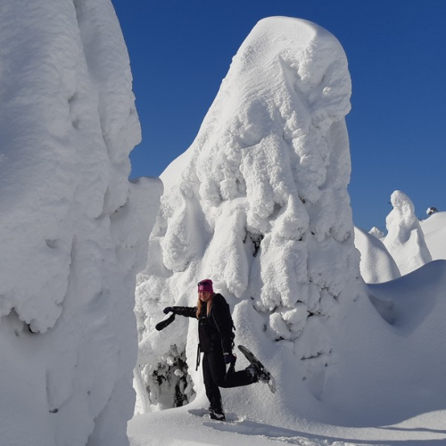Приключения на Кольском в мини-группе: айс-флоатинг, северное сияние и Териберка