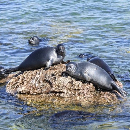 Индивидуальный джип-выезд по Баргузинской долине с посещением священных мест