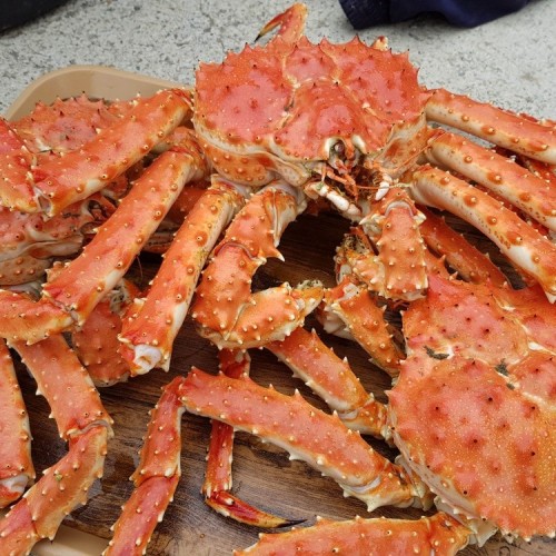 Сахалин, Кунашир и Шикотан: 2 недели на краю света