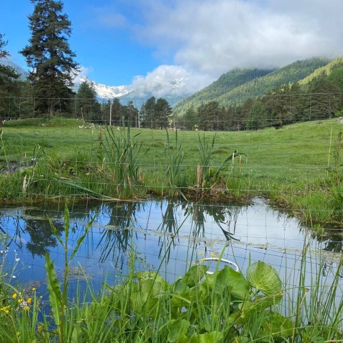 Край разноцветных озёр: треккинг налегке в Архызе с проживанием в палатках