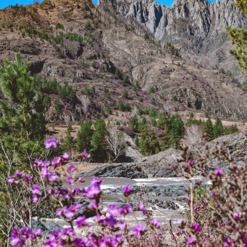 Путешествие по долине реки Катунь — из Горно-Алтайска