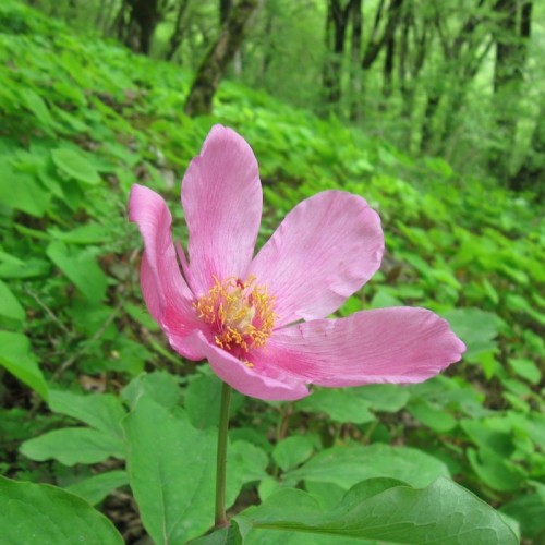 Перезагрузка в горах и на море в мини-группе