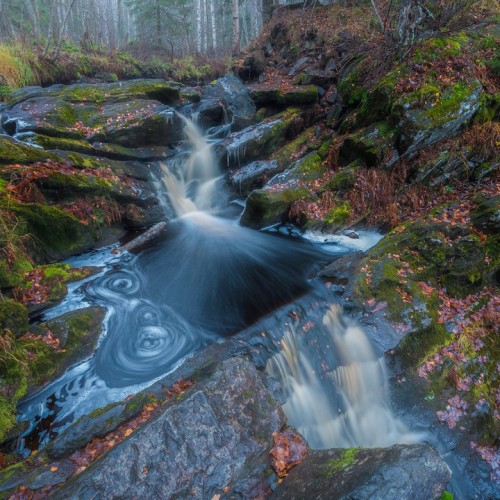 Там, где властвует природа: индивидуально в Карелию с гидом-фотографом
