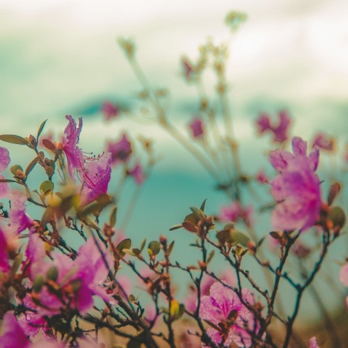 Гранд-тур по Алтаю: расширенный кольцевой маршрут