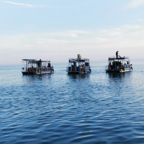 Морская рыбалка в Адлере с приготовлением улова на борту